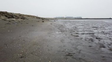 Kasai Rinkai Parkı, video klibi