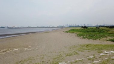 Kasai Rinkai Parkı, video klibi