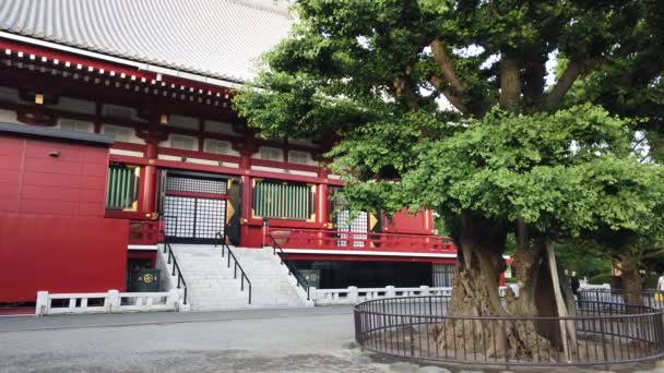 Asakusa Στην Ιαπωνία Τόκιο Τοπίο — Αρχείο Βίντεο