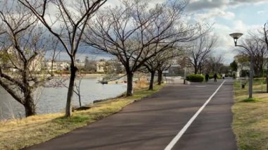 Japonya 'da kiraz çiçekleri, Tokyo