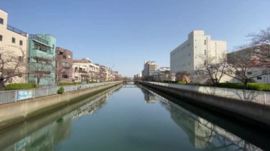 Japonya 'da kiraz çiçekleri, Tokyo