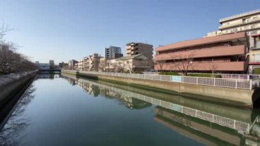 Japonya 'da kiraz çiçekleri, Tokyo