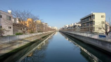Japonya 'da kiraz çiçekleri, Tokyo
