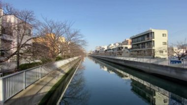 Japonya 'da kiraz çiçekleri, Tokyo