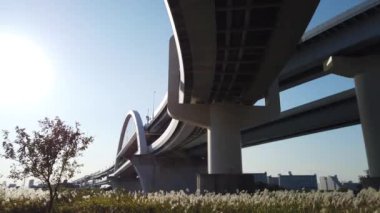 Japonya 'da Köprü, Tokyo Peyzaj