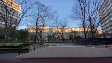 Japonya 'da kiraz çiçekleri, Tokyo