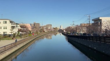Japonya 'da kiraz çiçekleri, Tokyo