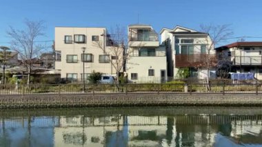 Japonya 'da kiraz çiçekleri, Tokyo