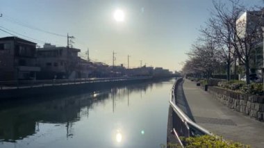 Japonya 'da kiraz çiçekleri, Tokyo