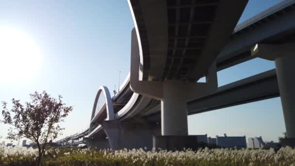 Most Japonii Krajobraz Tokio — Wideo stockowe