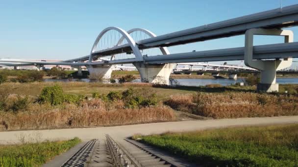 Brug Japan Tokio Landschap — Stockvideo