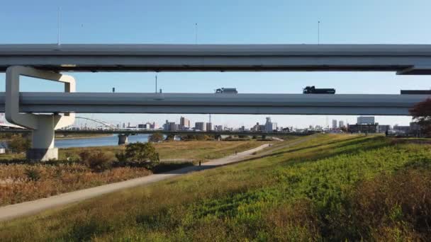 Ponte Giappone Tokyo Paesaggio — Video Stock