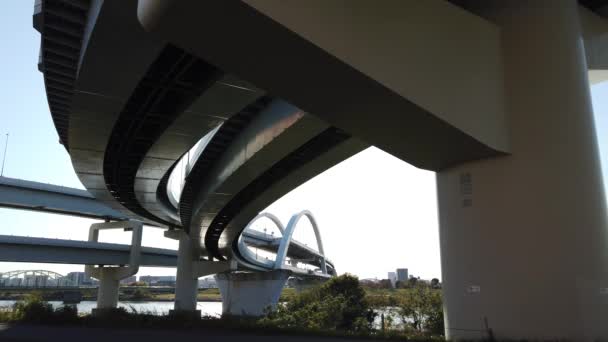 日本的桥 东京景观 — 图库视频影像