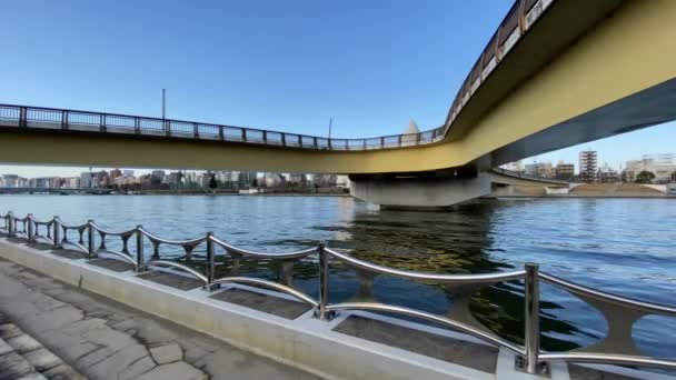 Мост Японии Пейзаж Токио — стоковое видео