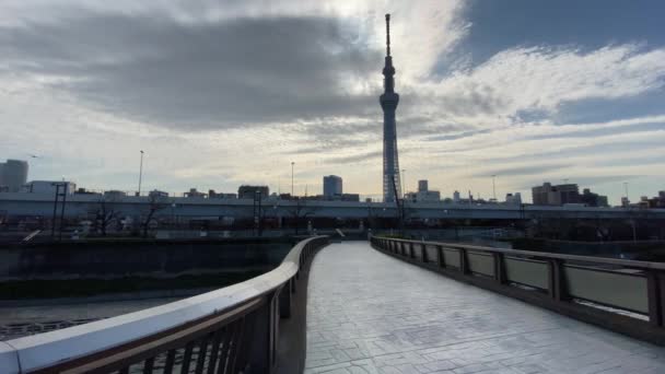 Most Japonii Krajobraz Tokio — Wideo stockowe