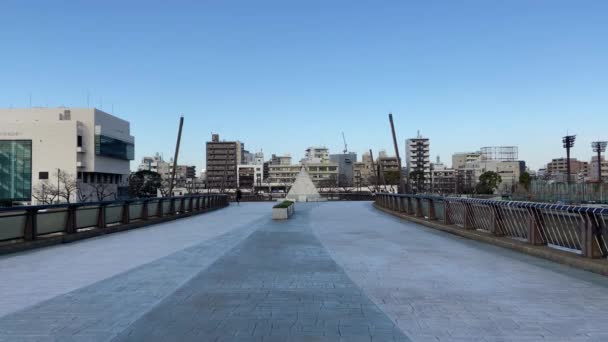 Brücke Japan Landschaft Von Tokio — Stockvideo