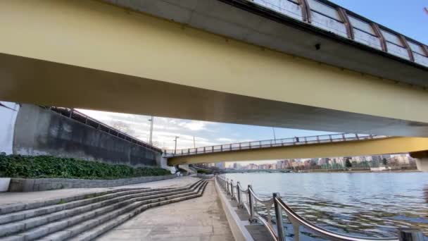 Brücke Japan Landschaft Von Tokio — Stockvideo