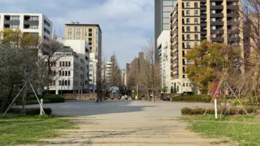 Japonya 'da kiraz çiçekleri, Tokyo