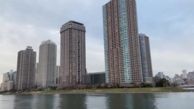 Japonya 'da kiraz çiçekleri, Tokyo