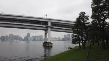 Tokyo Gökkuşağı Köprüsü Manzarası
