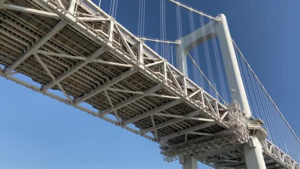 Tokyo Rainbow Bridge Landskap — Stockvideo