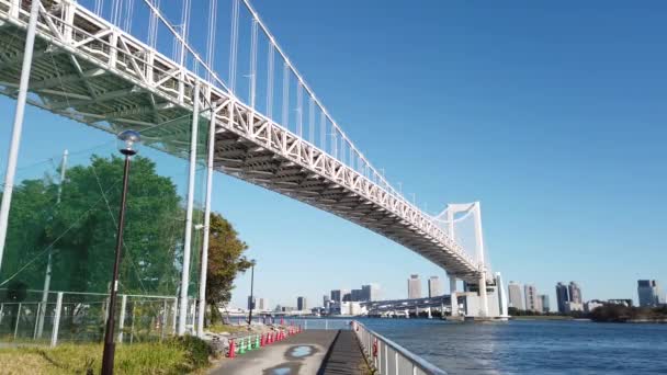 Tokyo Rainbow Bridge Landskap — Stockvideo