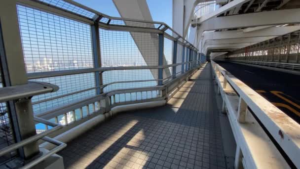 Tokyo Rainbow Bridge Paisaje — Vídeo de stock