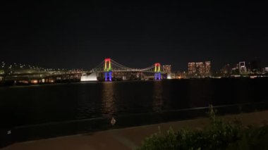 Japonya 'da Gökkuşağı Köprüsü, Tokyo Gece Manzarası