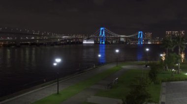 Japonya 'da Gökkuşağı Köprüsü, Tokyo Gece Manzarası