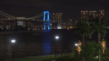 Japonya 'da Gökkuşağı Köprüsü, Tokyo Gece Manzarası
