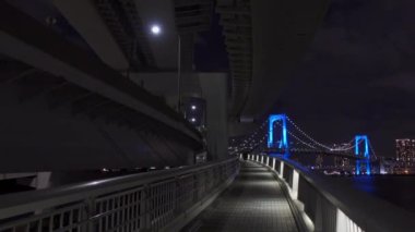 Japonya 'da Gökkuşağı Köprüsü, Tokyo Gece Manzarası