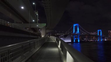 Japonya 'da Gökkuşağı Köprüsü, Tokyo Gece Manzarası