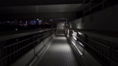 Japonya 'da Gökkuşağı Köprüsü, Tokyo Gece Manzarası