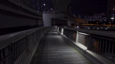 Japonya 'da Gökkuşağı Köprüsü, Tokyo Gece Manzarası