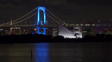 Japonya 'da Gökkuşağı Köprüsü, Tokyo Gece Manzarası