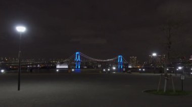 Japonya 'da Gökkuşağı Köprüsü, Tokyo Gece Manzarası