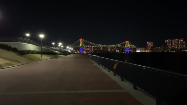 Puente Arco Iris Japón Vista Nocturna Tokio — Vídeos de Stock