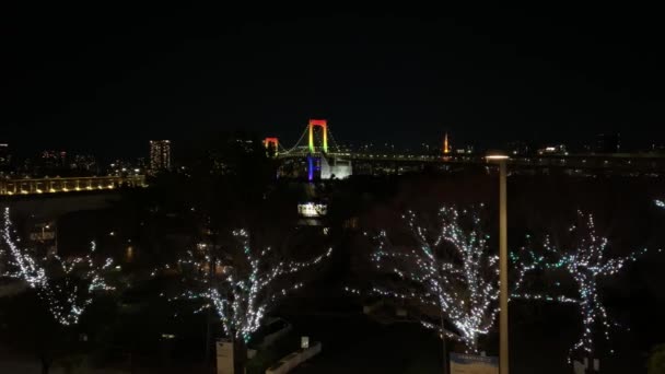 Tęczowy Most Japonii Tokyo Night View — Wideo stockowe