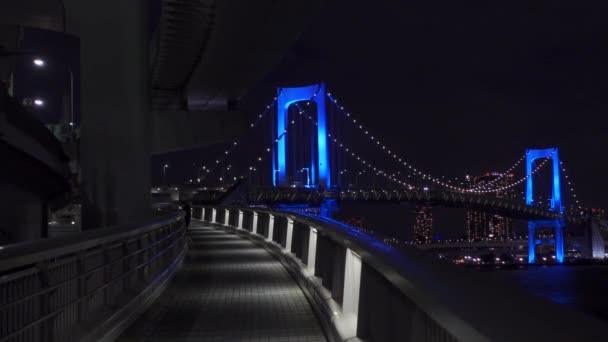 Puente Arco Iris Japón Vista Nocturna Tokio — Vídeos de Stock