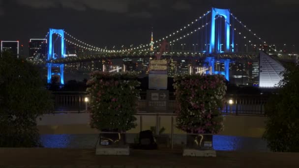 Regenboogbrug Japan Tokyo Night View — Stockvideo