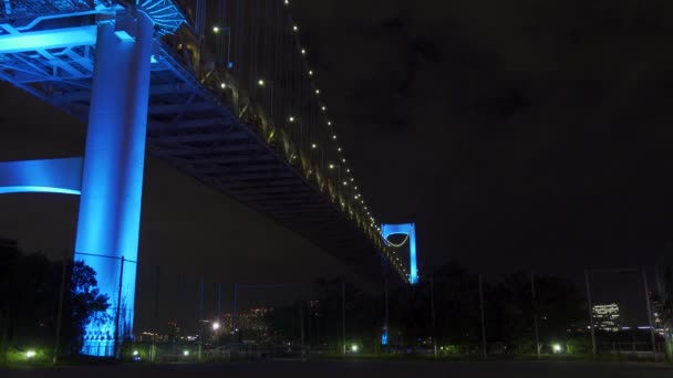Regenbogenbrücke Japan Nachtansicht Tokio — Stockvideo