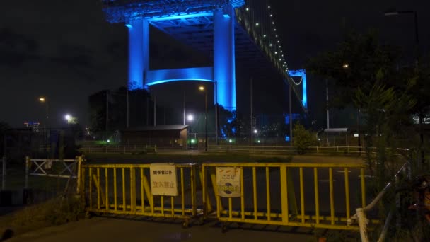 Puente Arco Iris Japón Vista Nocturna Tokio — Vídeos de Stock