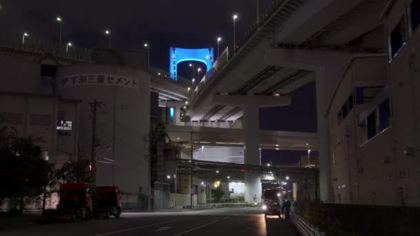 Regenbogenbrücke Japan Nachtansicht Tokio — Stockvideo