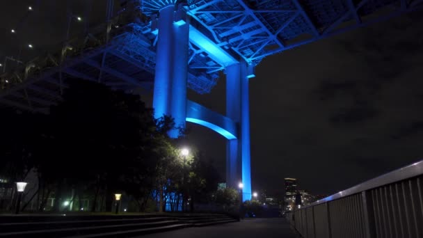 日本の虹の橋 東京の夜景 — ストック動画