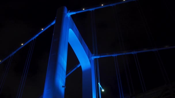 Puente Arco Iris Japón Vista Nocturna Tokio — Vídeos de Stock