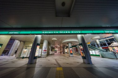 Shibuya Japonya 'da, Tokyo Gece Manzarası