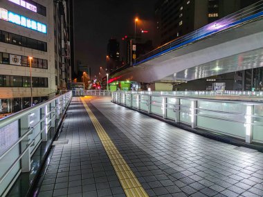 Shibuya Japonya 'da, Tokyo Gece Manzarası