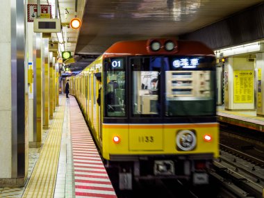 Tokyo shibuya Japonya manzarası