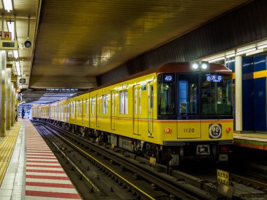 Tokyo shibuya Japonya manzarası