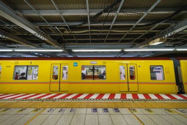 Tokyo shibuya Japonya manzarası